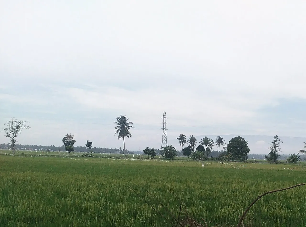 Penuh dengan keindahan