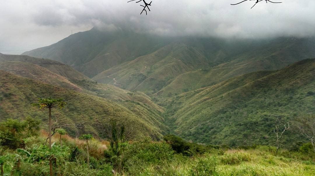 Beautifull Scenary