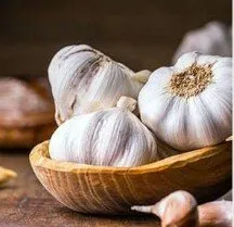 What Are Prebiotics?