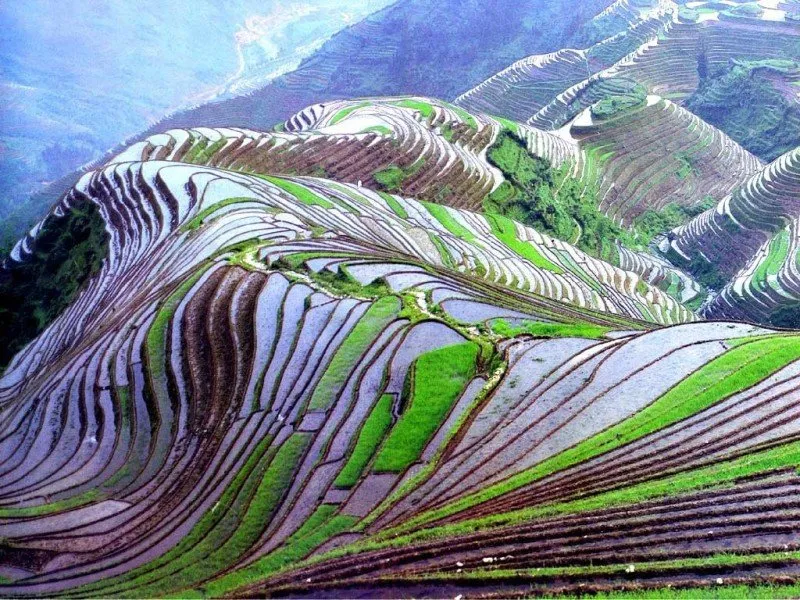 Wisata yang bagus