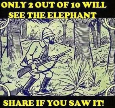 Hi guys, find elephant in the Photo..