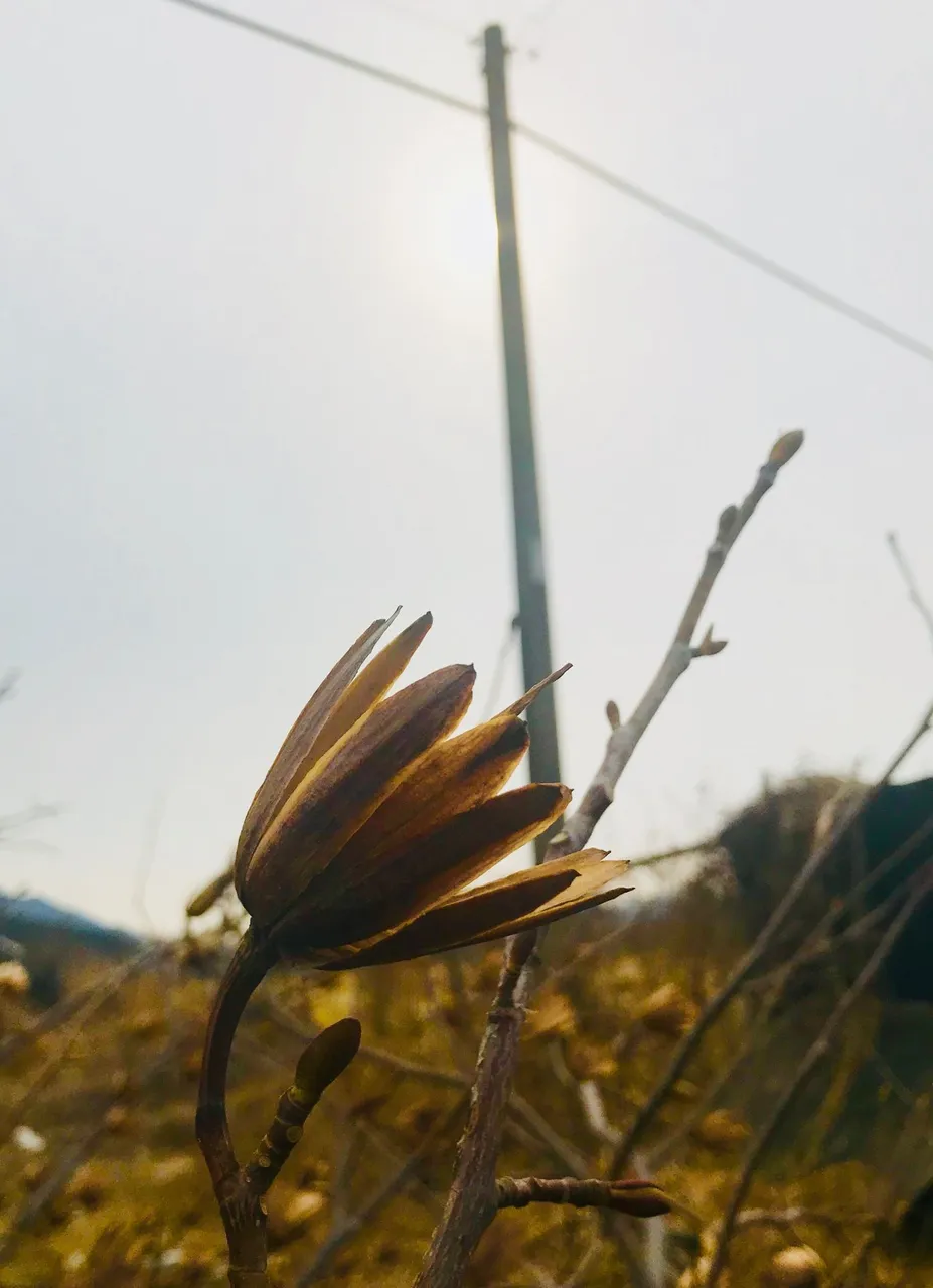[3월 달력 콘테스트] 무제