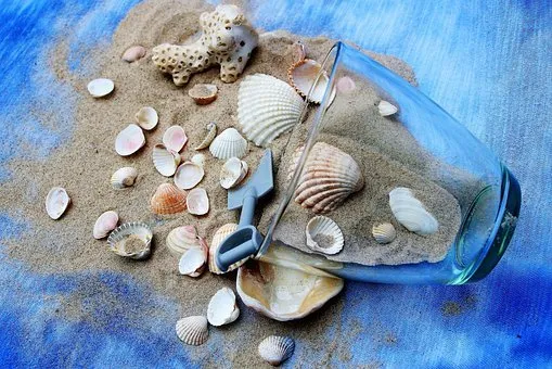 Conchas de mar.