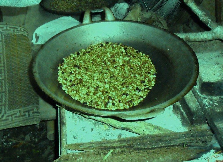 Coffee Roasting Manual