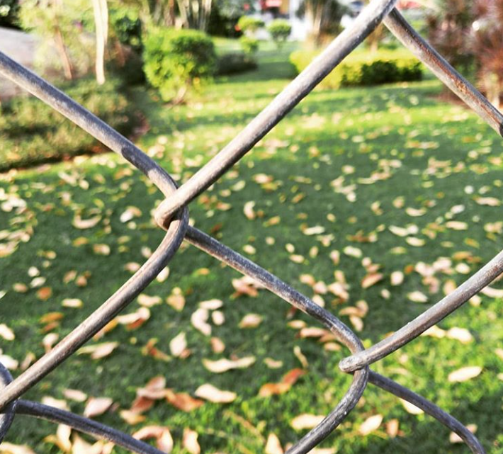 BEHIND THE NET