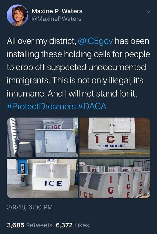 Frozen Illegal Aliens