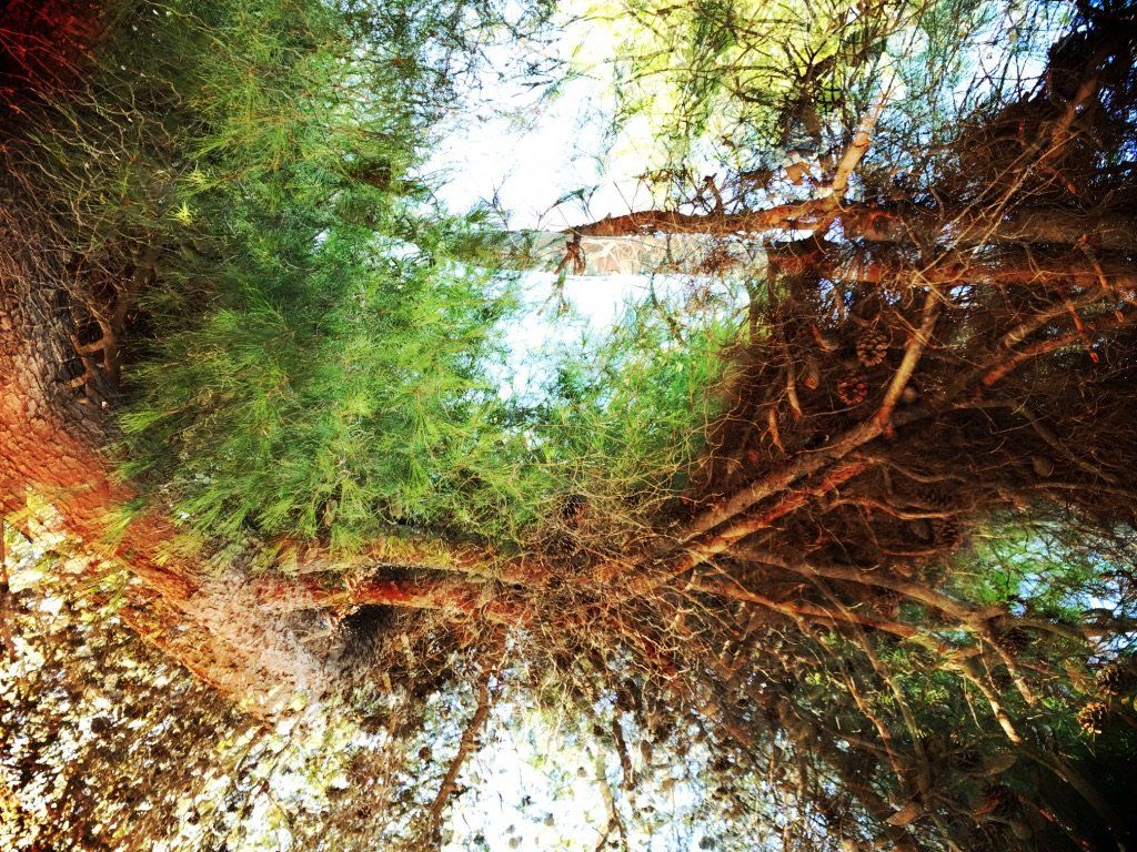 Double exposure - Astigmat görüşü / Astigmatic sight 