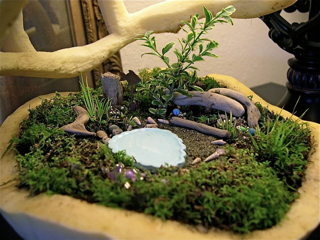 land scape