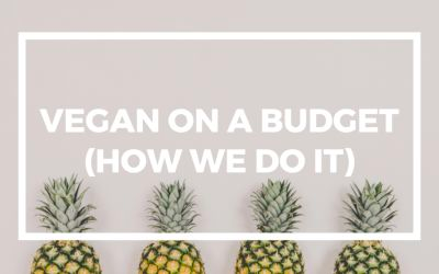 9 Tips for Being Vegan on a Budget (How We Do It!) 💵