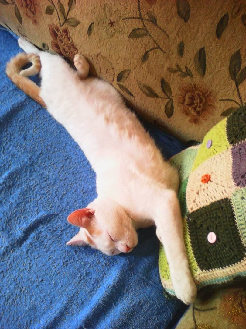 way to sleep after a tiring day !!