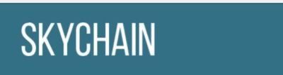 SKYCHAIN: To Host, Train and Use Medical Neural Networks