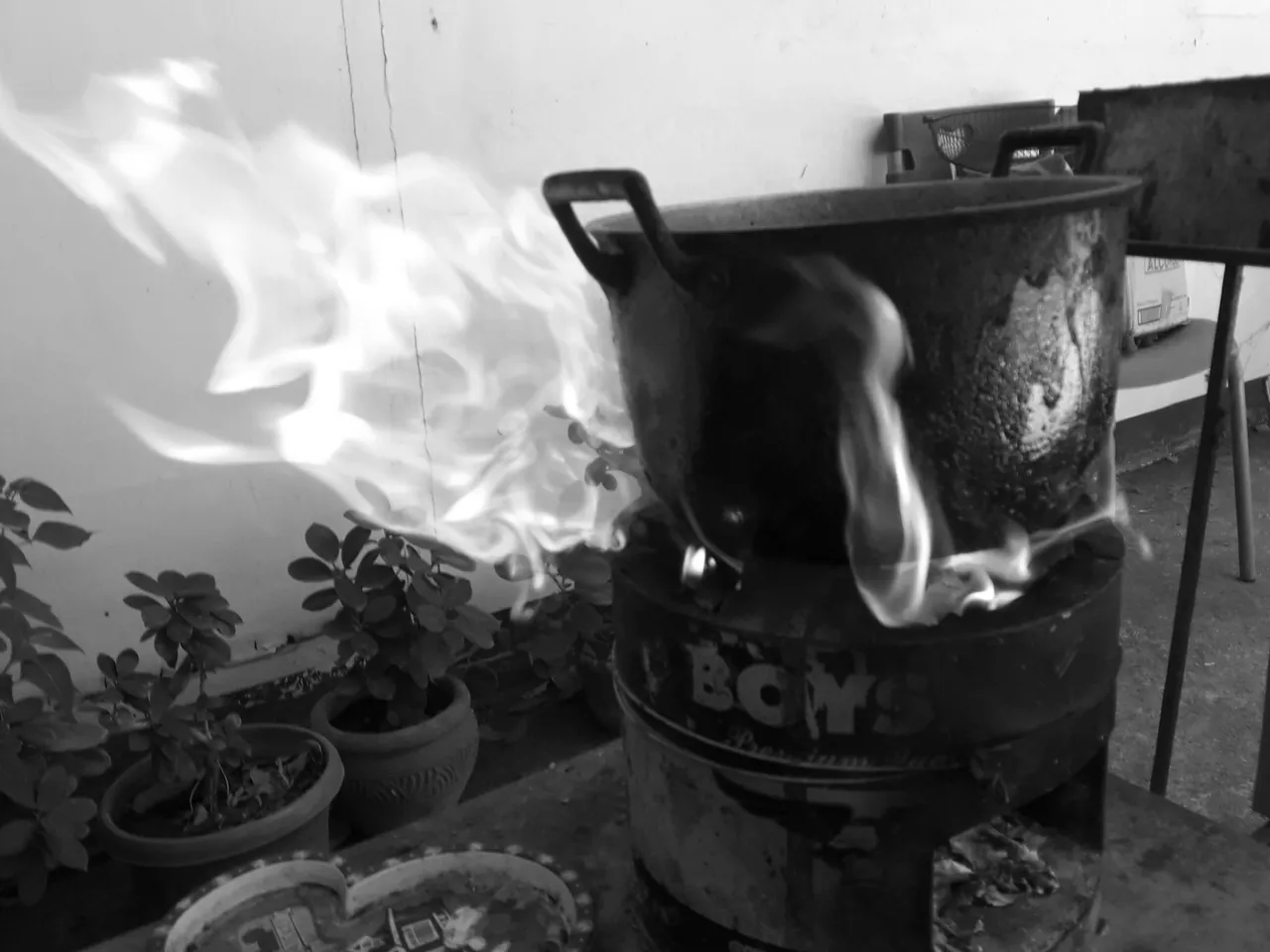 📷 Seven Day Black And White Challenge #38, (462)