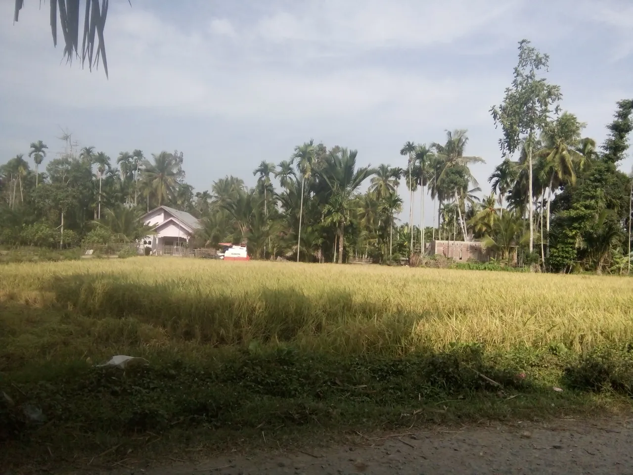 Petani punya cerita