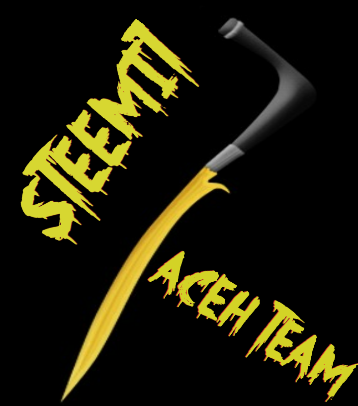 New Logo of Aceh Team
