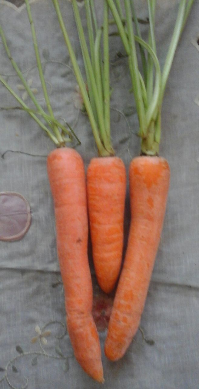 Various Benefits of Carrots and Carrot Juice Shocking