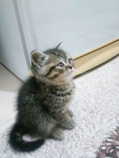 My little Kiwi