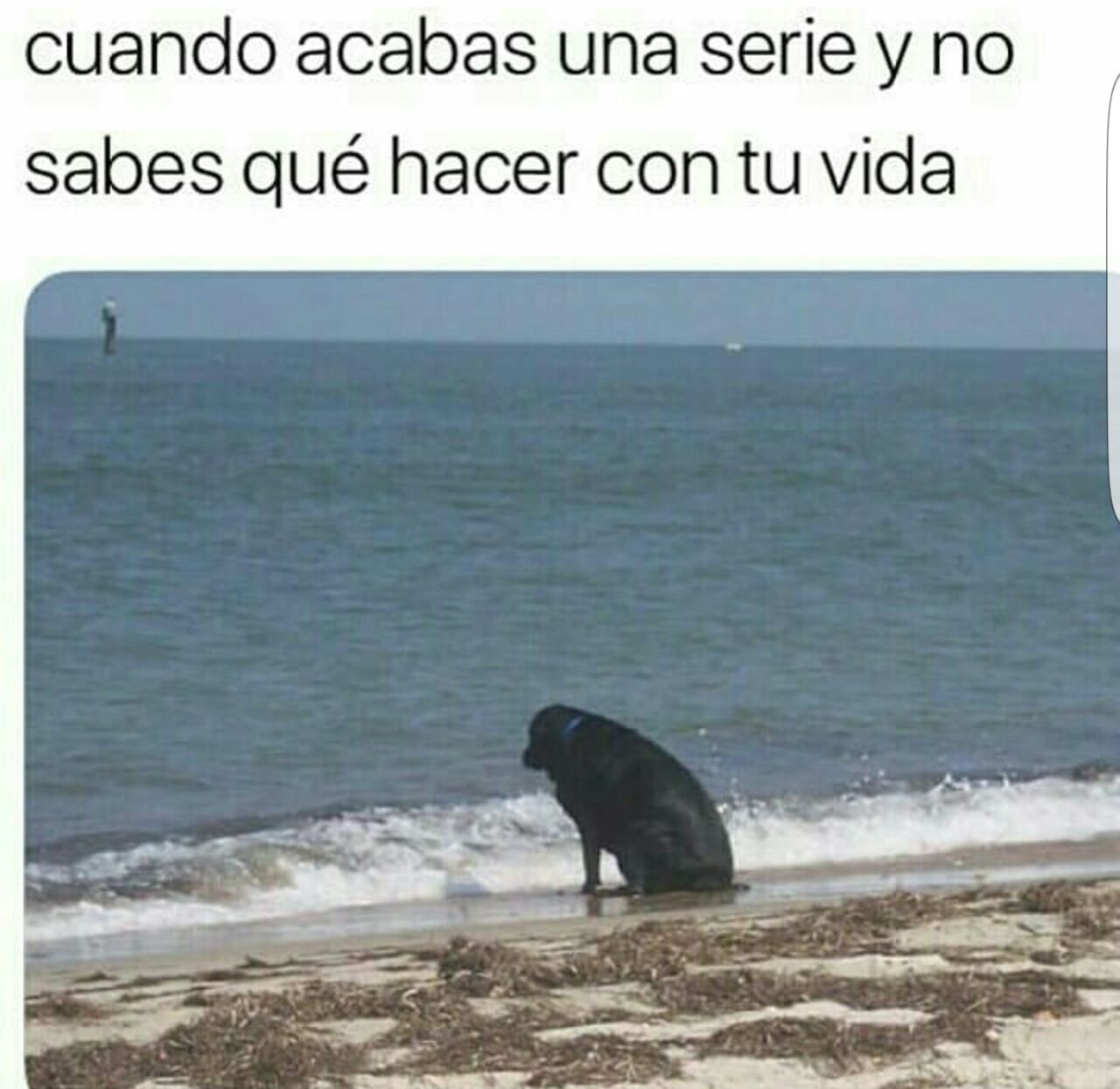 Mivida en estos momentos jajaja