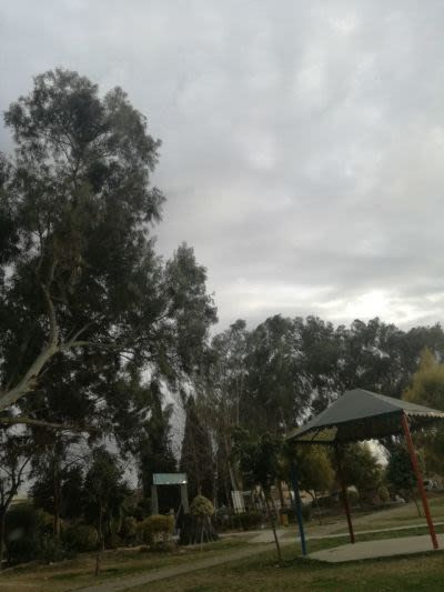 Some beautiful clicks from my mobile 