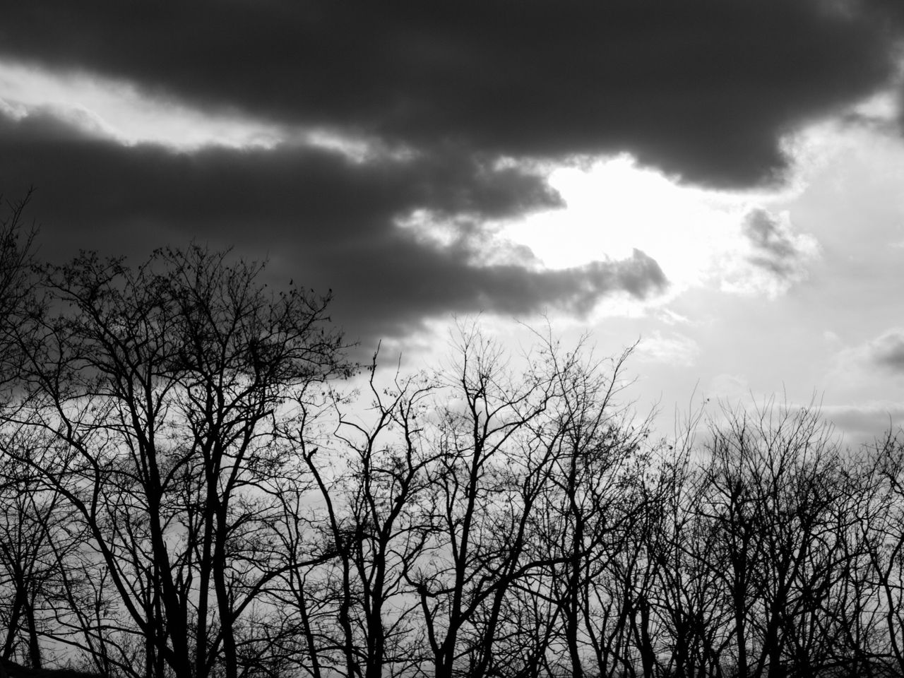 Monomad entry in Skies