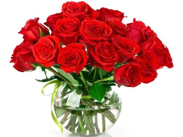 Keep the rose flower fresh for so long. Part - 2