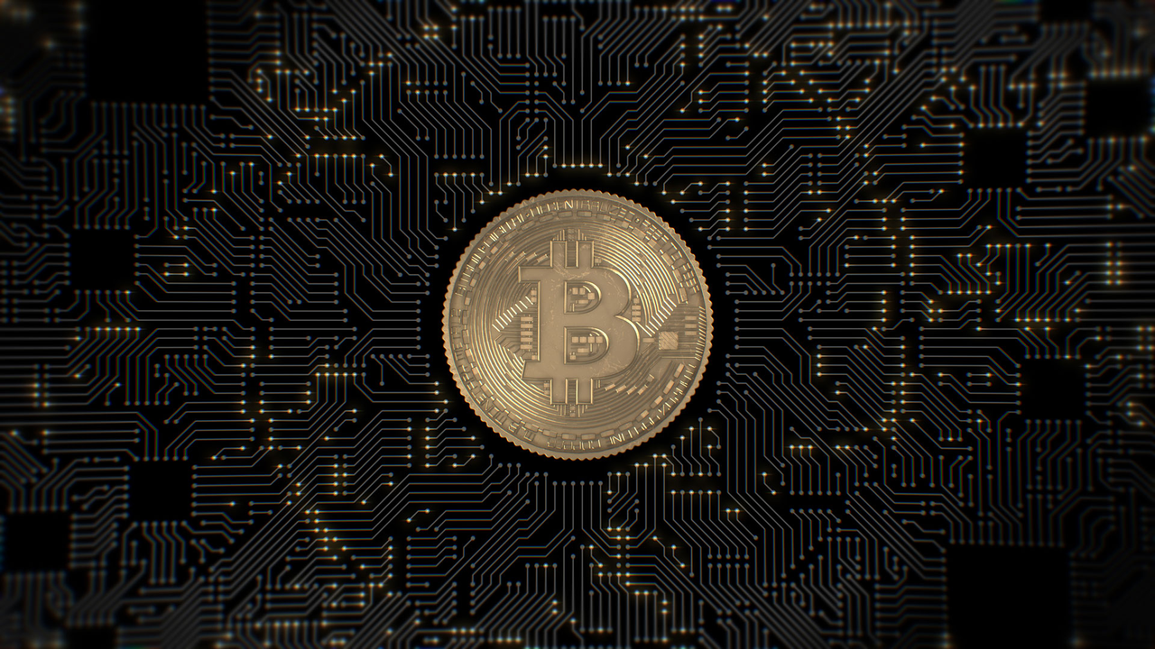 Government would had ban not only Petro but Bitcoin too