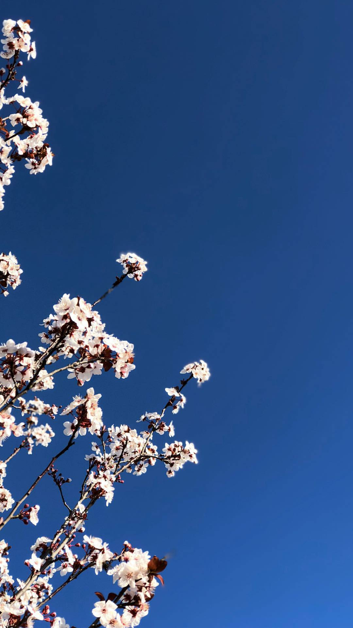 📷 #ColorChallenge- Tuesday-💮Natura💮 - Busy