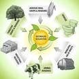 Biomass
