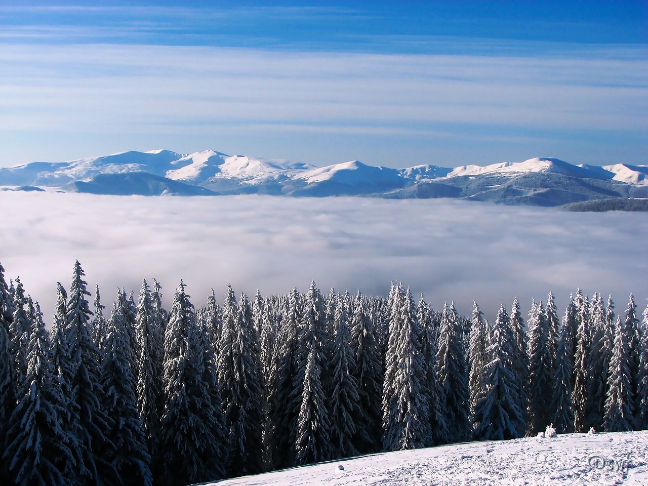 frosty morning - Landscape Photography Contest