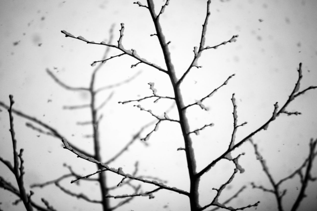 Snowfall • Precipitation