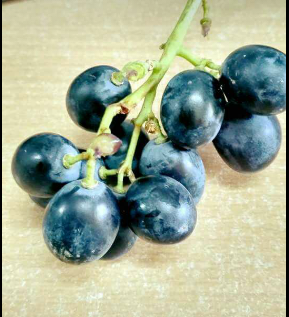 Black Grape