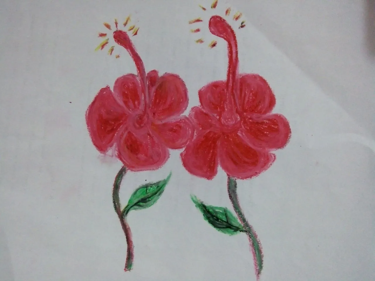 cara dan hasil seni lukis dengan objek bunga Kembang sepatu