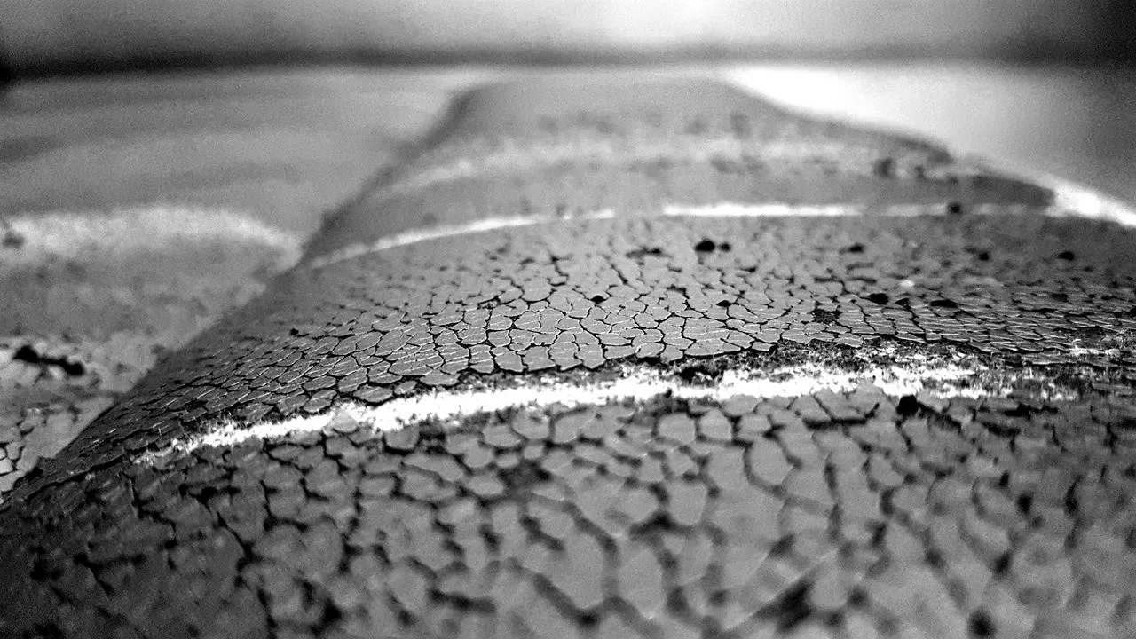 Seven Day Black & White Challenge - Day 7