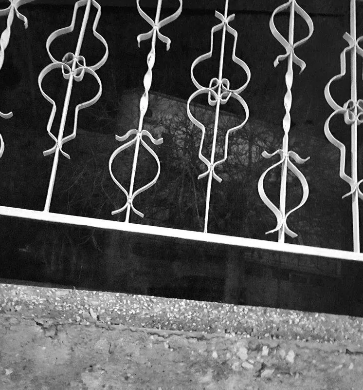 Seven Day Black & White Challenge - Day 1