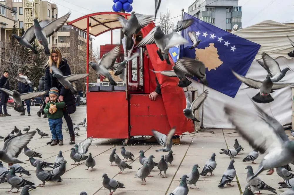 One child feeding pigeons. Kosovo, Prishtina | life and photography