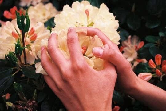 You still choose to be beautiful