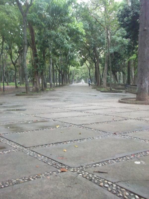 Visita inesperada al Parque los Caobos