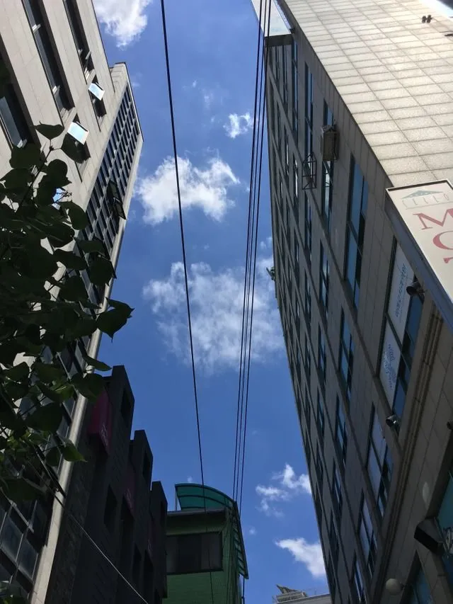 오늘 날씨 개 좋음!!!