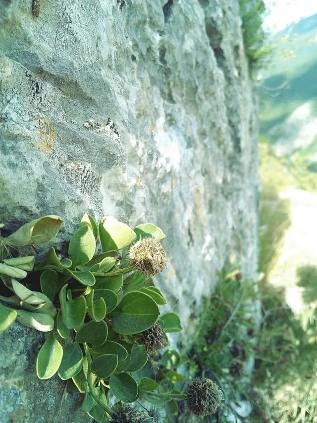 Nature Photography