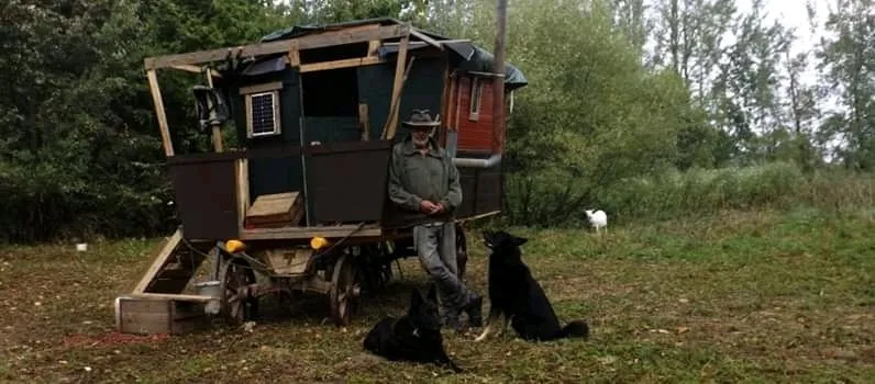 Now, when I say we... I mean the dogs and myself :)