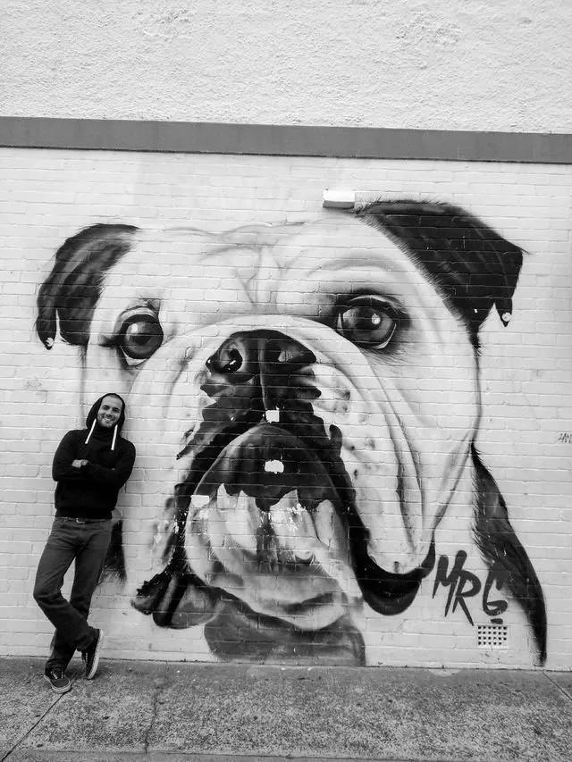 Pug(Bulldog) life on Bondi Beach, Sydney