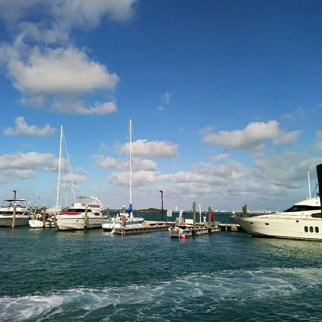 BOTES EN TIEMPO DE PANDEMIA. / BOATS IN PANDEMIC TIMES.