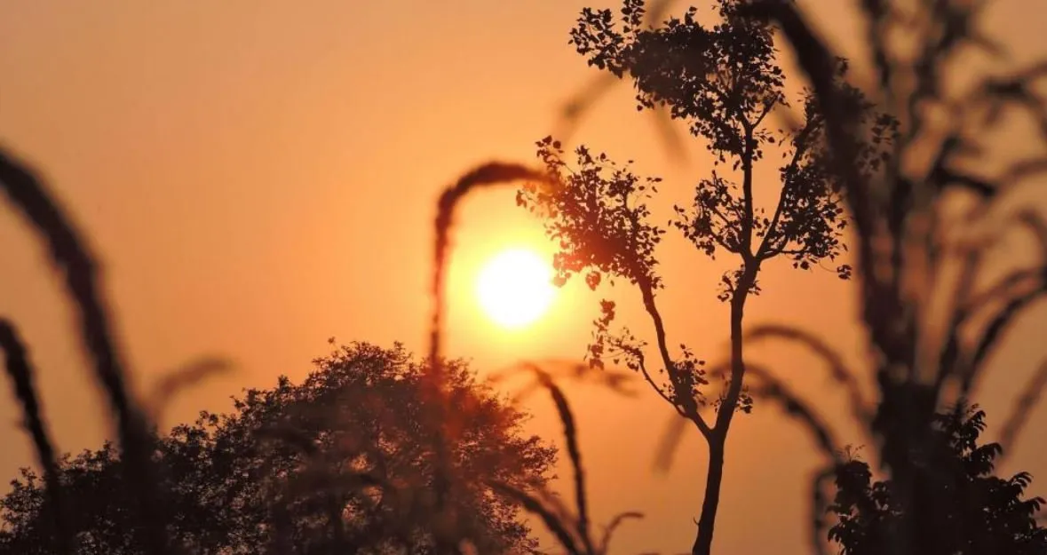return to the evening. Chaitra's daylight has return to light-weight | life and art