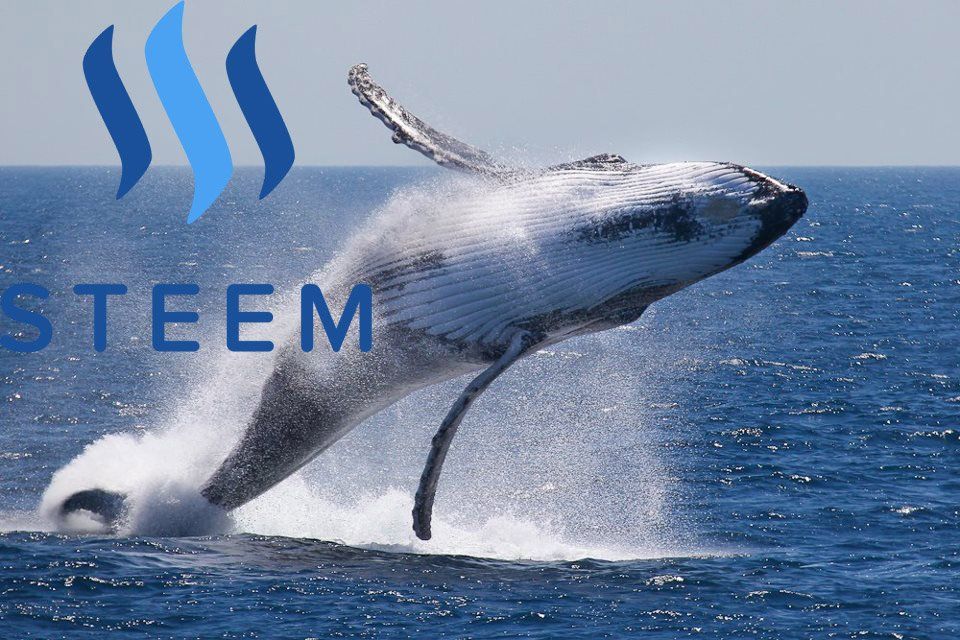 Quick Steemit Trick: What does that Whale Follow?
