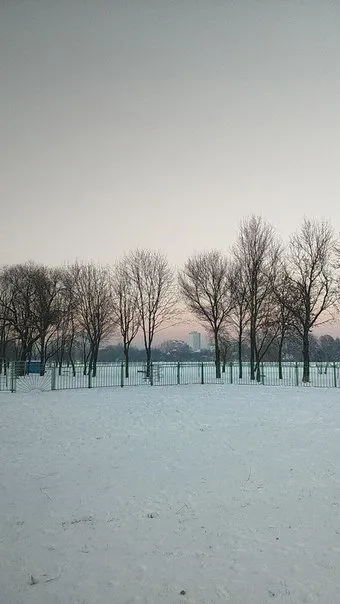 Winter evening