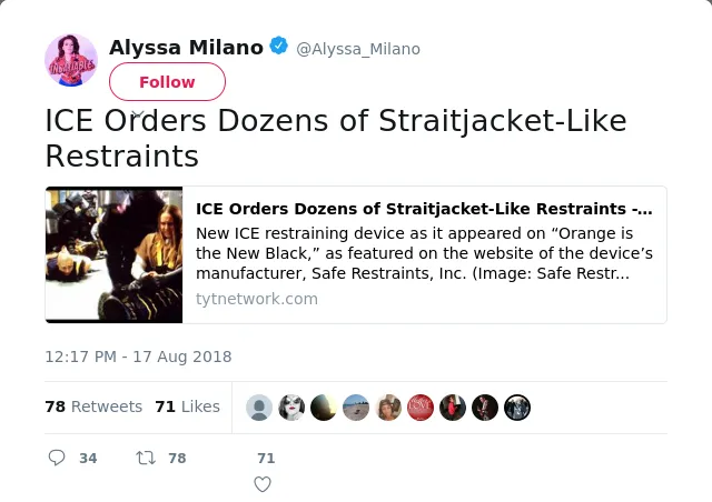 ICE Orders Dozens of Straitjacket-Like Restraints