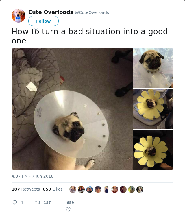 RT @CuteOverloads: How to turn a bad situation into a good one