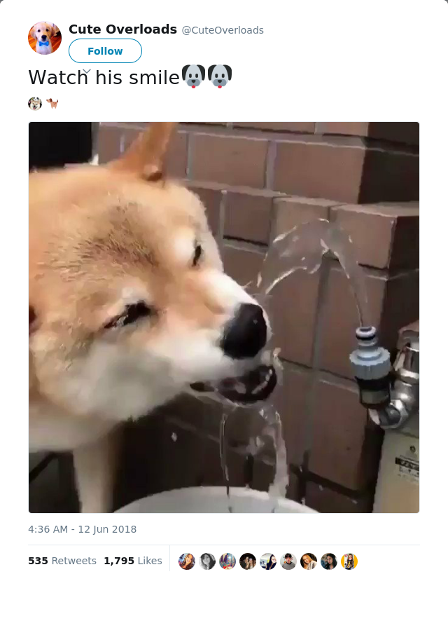 RT @CuteOverloads: Watch his smile🐶🐶