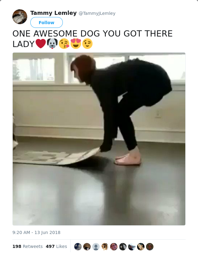 RT @TammyJLemley: ONE AWESOME DOG YOU GOT THERE LADY❤🐶😘😍😉
