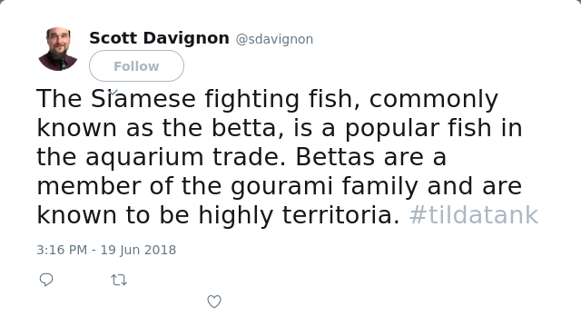 The Siamese fighting fish, commonly known as the betta, is a popular fish in the aquarium trade. Bettas are a membe…