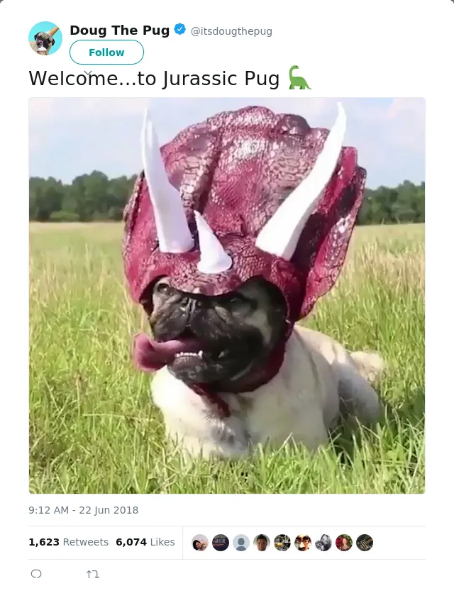 RT @itsdougthepug: Welcome...to Jurassic Pug 🦕